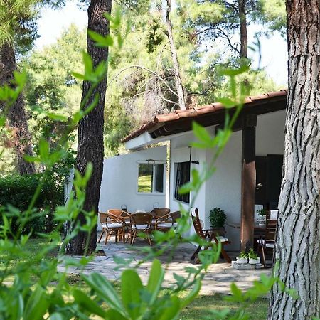 Villa Irini In Sani Sani  Extérieur photo