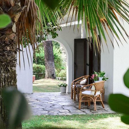 Villa Irini In Sani Sani  Extérieur photo