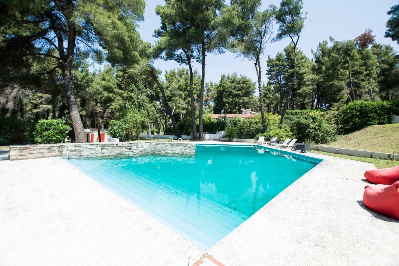 Villa Irini In Sani Sani  Extérieur photo