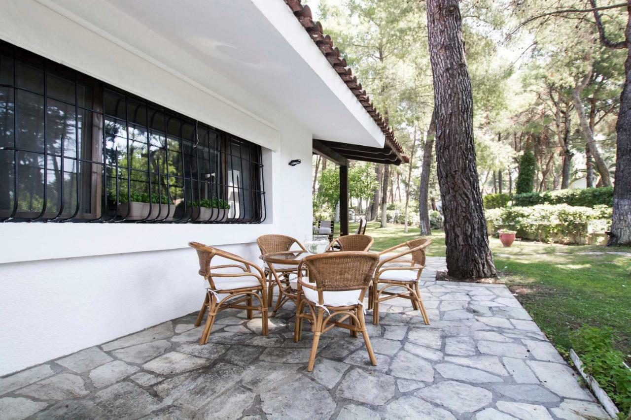 Villa Irini In Sani Sani  Extérieur photo