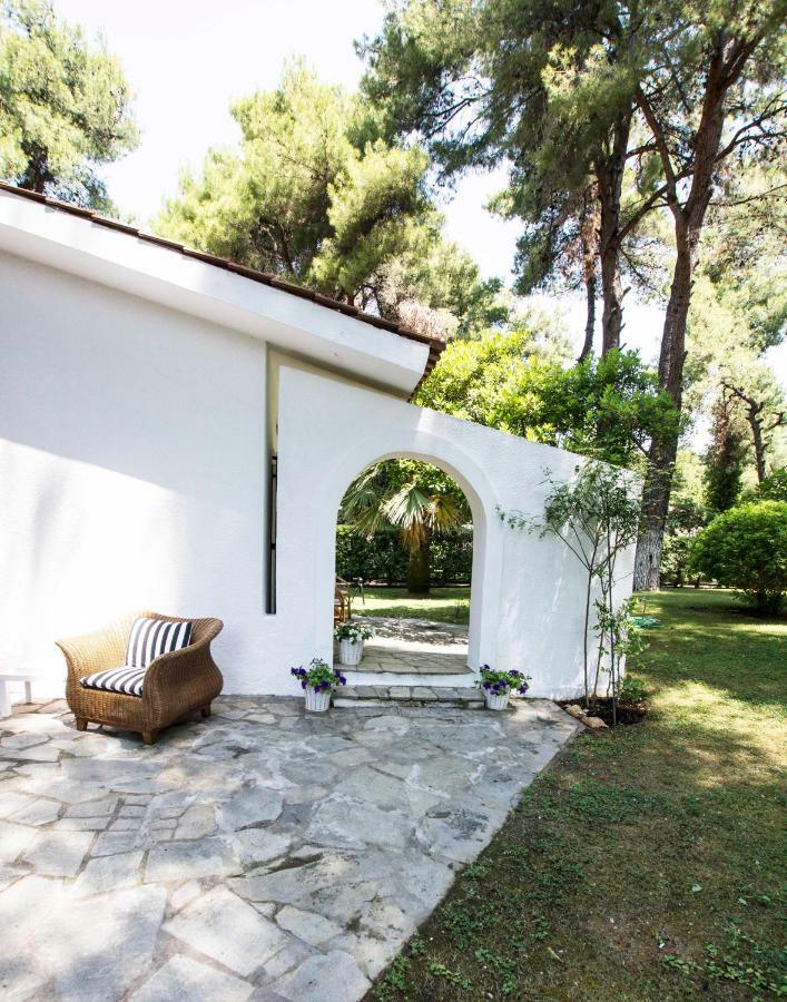 Villa Irini In Sani Sani  Extérieur photo